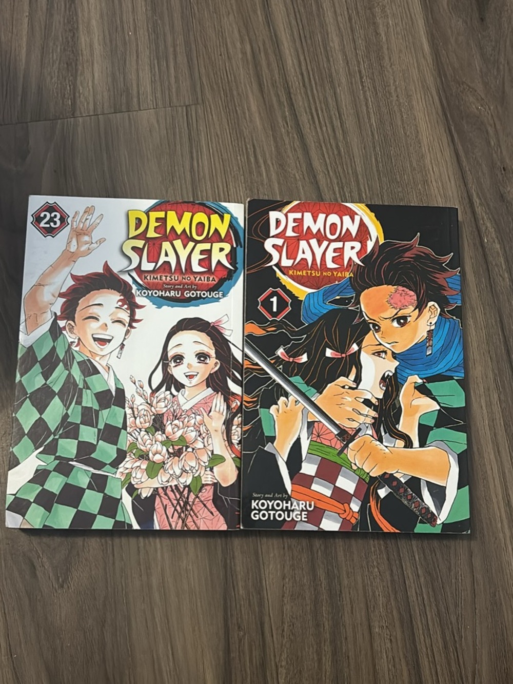 Demon slayer 1 & 23